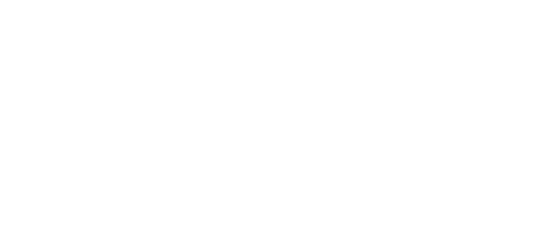 BitDegree